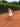 OC TEAMWEAR DRESS WHITE